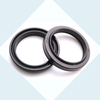 PDU Wiper Seal for piston and rod