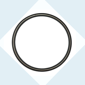 Spring Energized Seals with O type Spring