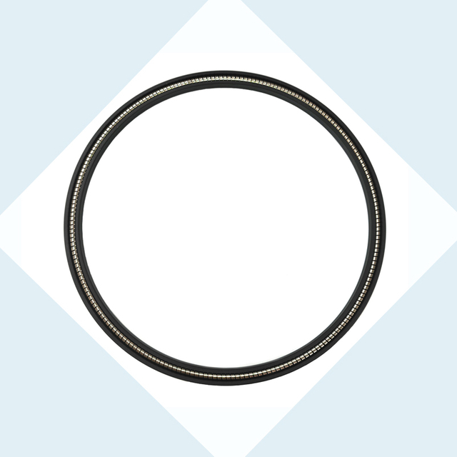 Spring Energized Seals with O type Spring