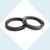 Spring Energized Seals with V type spring