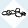 Spring Energized Seals with V type spring