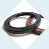 TG TG4 Type Oil Seal FKM / Viton 