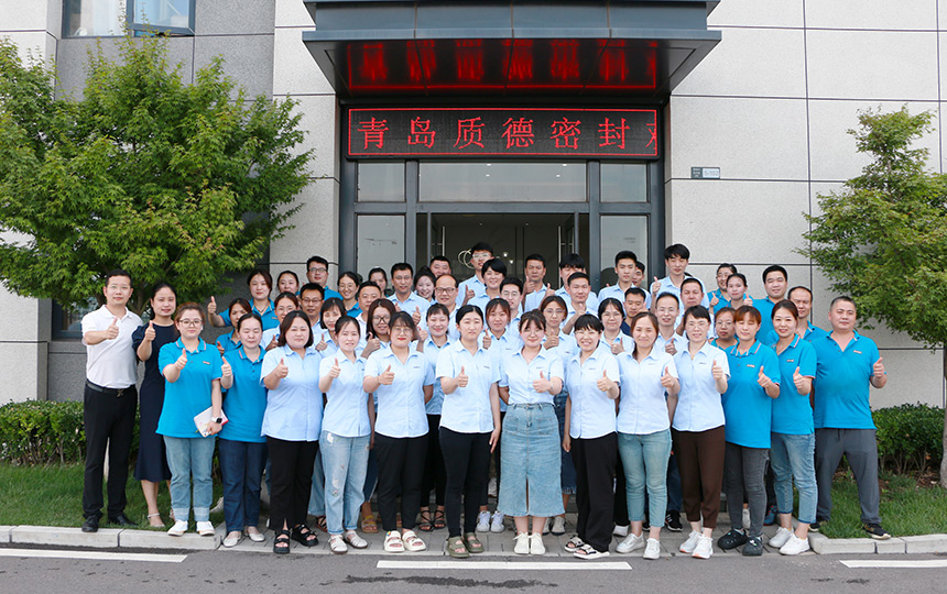 Rod Wiper Hydraulic Seals factory Employees