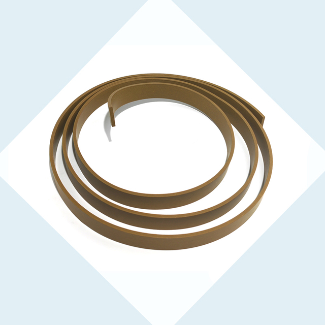 PTFE Guide Ring