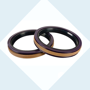 SPGW Seal for hydraulic Piston