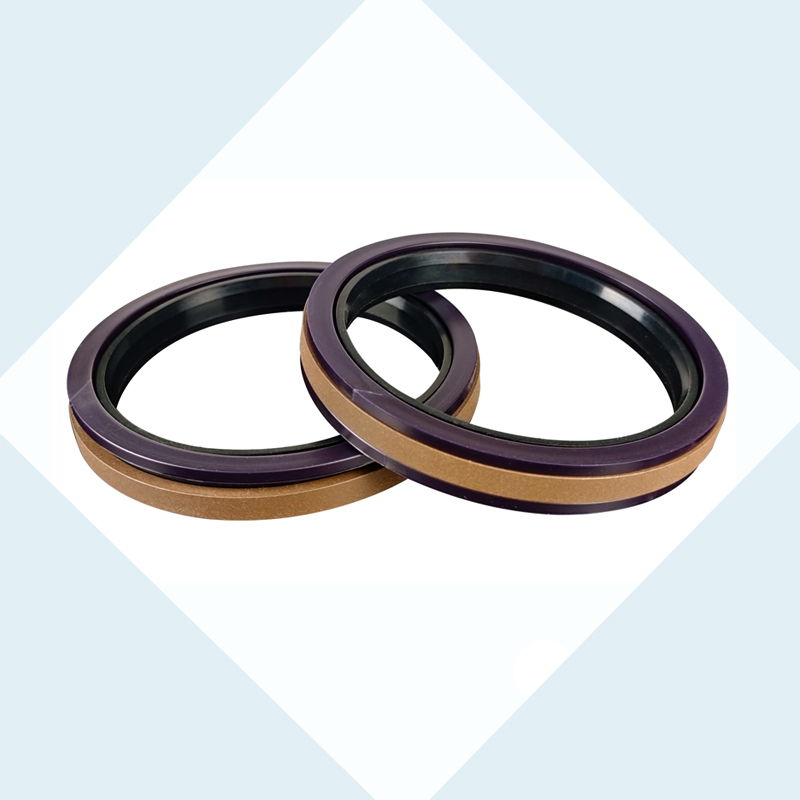 SPGW Seal for hydraulic Piston